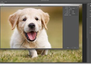 [Tổng hợp] 10 Phần mềm phóng to ảnh không bị vỡ hạt tốt nhất