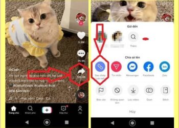 9 Cách tải video trên TikTok không dính bị logo về điện thoại, PC
