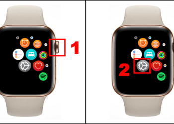 Cách Kiểm Tra, Check IMEI Apple Watch Đơn Giản, Chuẩn 100%