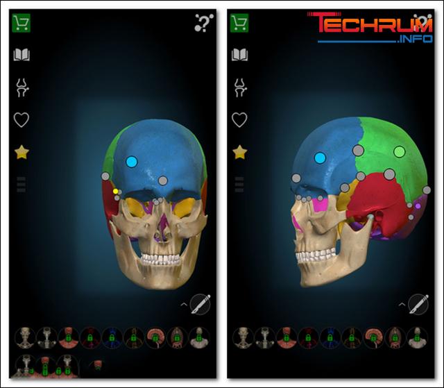 Cách cài đặt phần mềm Anatomy cho điện thoại 5