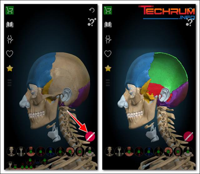 Cách cài đặt phần mềm Anatomy cho điện thoại 6