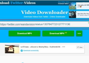 cách download video trên twitter 3