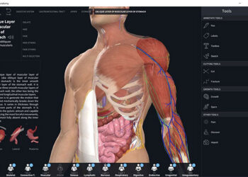 phần mềm Anatomy