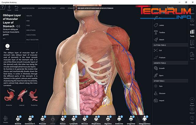 phần mềm Anatomy