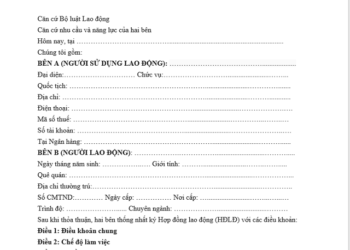 tải mẫu hợp đồng lao đông mới nhất 1