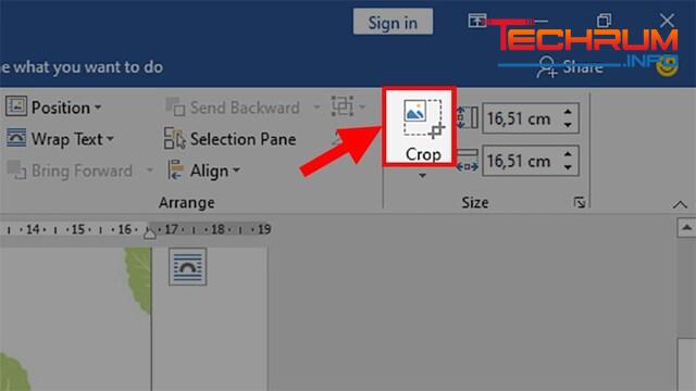 Cách cắt ảnh trong Word kiểu bình thường 2