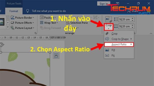 Cách cắt ảnh trong Word theo tỷ lệ 2