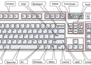 Phím tắt trong Word
