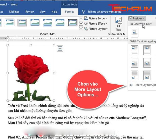 Cách di chuyển ảnh trong Word bằng Position 2