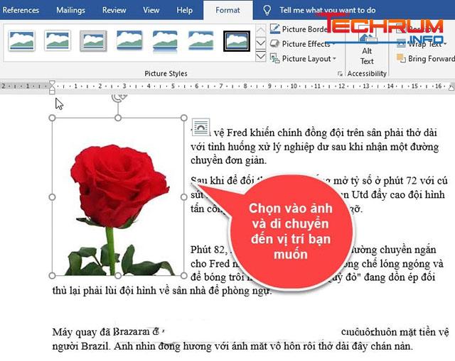 Cách di chuyển hình ảnh trong Word bằng Wrap Text 3