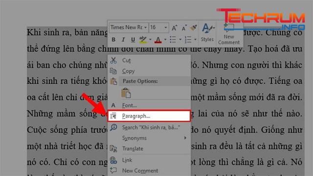 Cách thụt đầu dòng trong Word bằng Paragraph 1