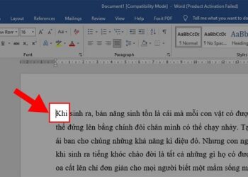 Cách thụt đầu dòng trong Word bằng Tab 1