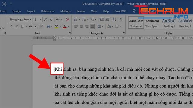 Cách thụt đầu dòng trong Word bằng Tab 1