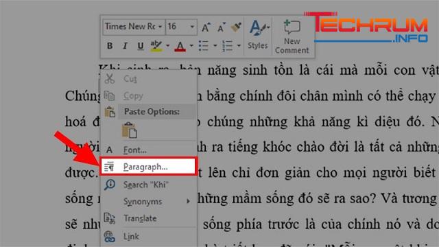 Cách thụt đầu dòng trong Word bằng Tab 2