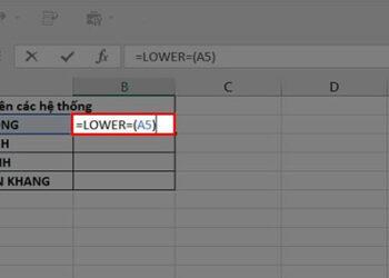 Cách chuyển đổi chữ in hoa thành chữ thường bằng hàm Lower 1