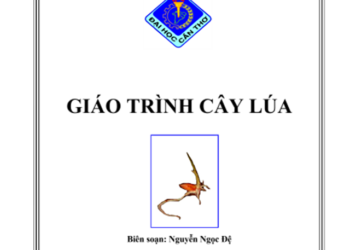 Giáo trình cây lúa