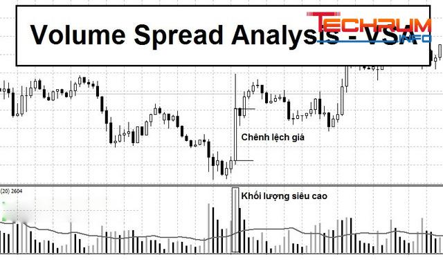 Hoạt động của VSA