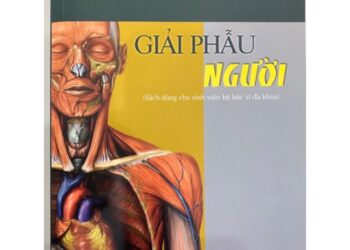 tài liệu giải phẫu
