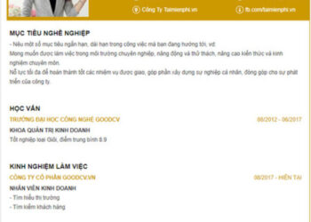 mẫu CV 1