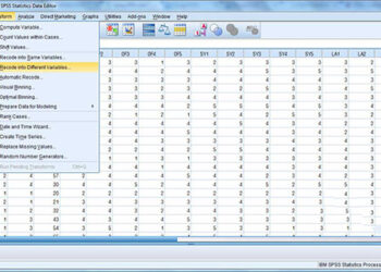 Tính năng phần mềm spss 20