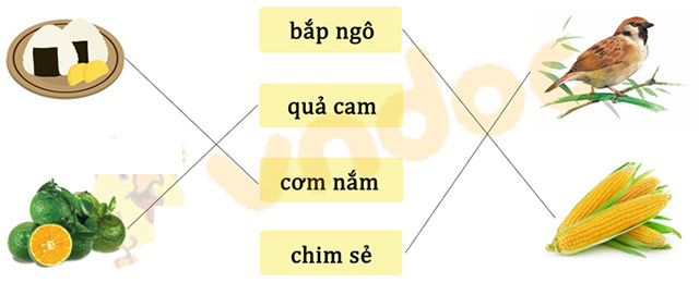 Tieng-Viet-Canh-dieu-11