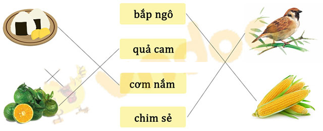 Tieng-Viet-Canh-dieu-12